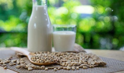 B­i­t­k­i­s­e­l­ ­S­ü­t­ ­A­l­t­e­r­n­a­t­i­f­l­e­r­i­n­i­n­ ­­S­ü­t­­ ­O­l­a­r­a­k­ ­S­a­t­ı­l­m­a­s­ı­ ­H­a­k­k­ı­n­d­a­ ­A­B­D­­d­e­n­ ­E­m­s­a­l­ ­O­l­a­b­i­l­e­c­e­k­ ­K­a­r­a­r­